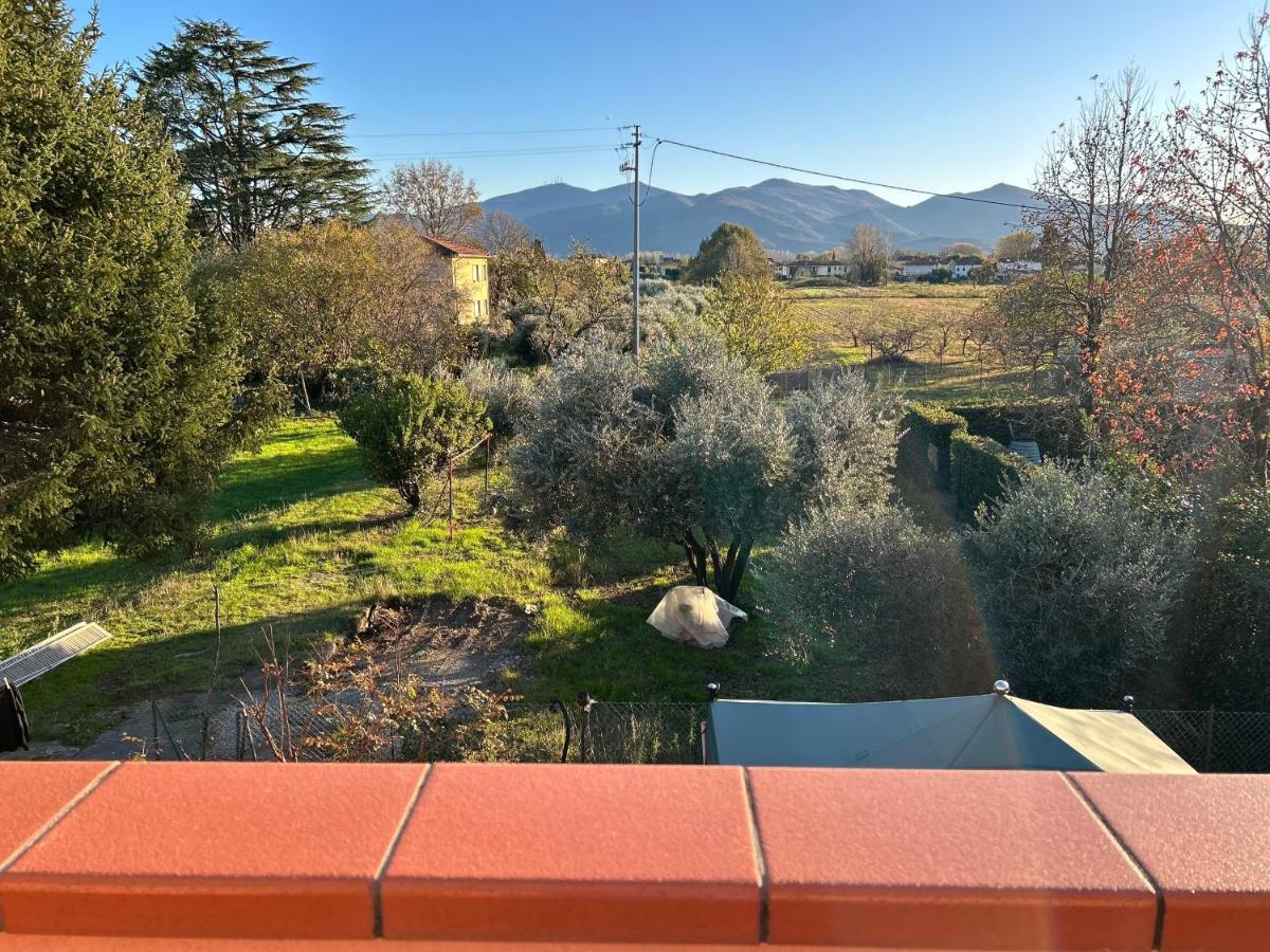 Albi'S House,Terrazza ,Wi-Fi, Parcheggio, Ac Apartment Lucca Exterior photo