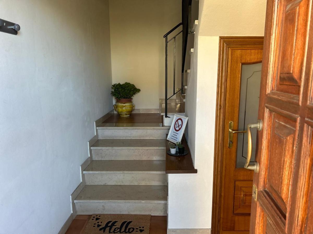 Albi'S House,Terrazza ,Wi-Fi, Parcheggio, Ac Apartment Lucca Exterior photo