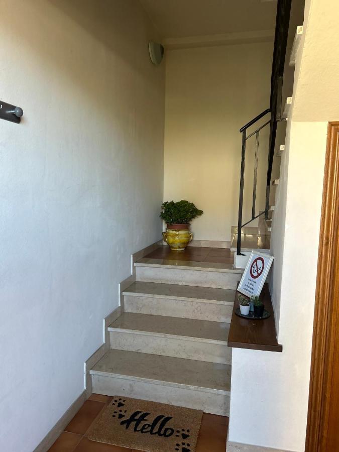 Albi'S House,Terrazza ,Wi-Fi, Parcheggio, Ac Apartment Lucca Exterior photo